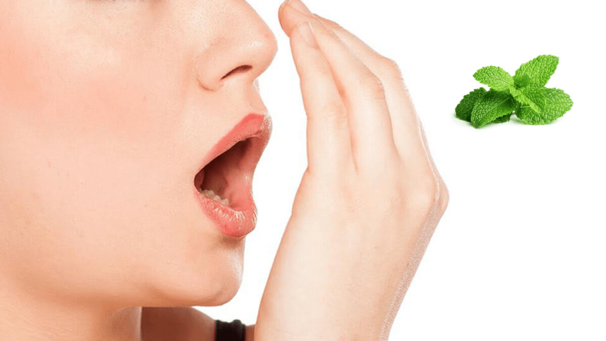 Tổng hợp các loại lá cây trị hôi miệng và cách sử dụng Dùng lá cây để cải thiện hơi thở là giải pháp tự nhiên, an toàn và dễ dàng áp dụng để giúp hơi thở thơm mát hơn