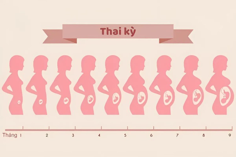Có bầu lấy cao răng được không? 5 lưu ý mẹ bầu cần biết Mẹ bầu nên lấy cao răng trong giai đoạn 3 tháng giữa (tuần 14 - 27) của thai kỳ