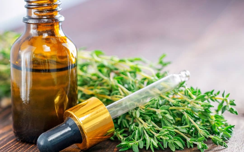 Tổng hợp các cách giảm đau răng nhanh nhất có hiệu quả tức thời Tinh dầu từ cỏ xạ hương chứa thymol, có tác dụng tiêu diệt vi khuẩn và làm lành vết thương hiệu quả