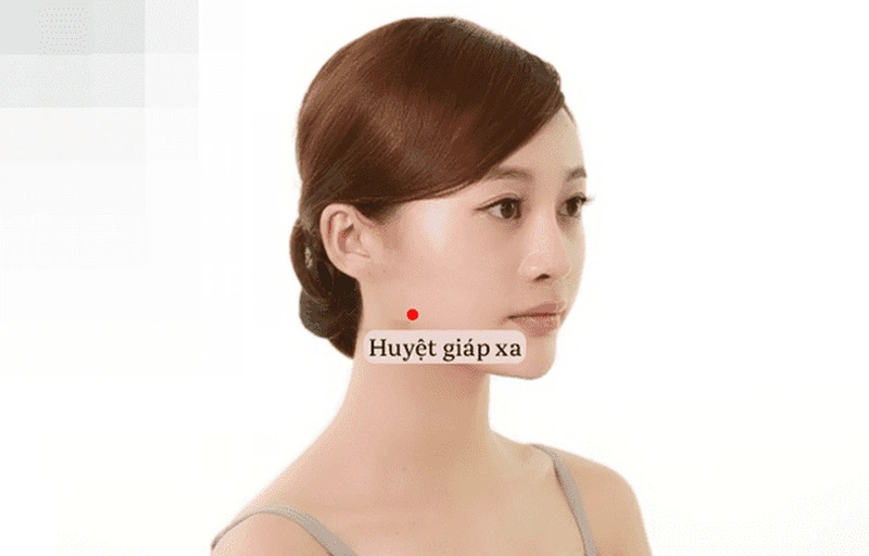 Đau răng bấm huyệt nào? Cách day bấm huyệt chữa đau răng Huyệt giáp xa nằm giữa xương quai hàm ở vùng má, từ chân tai đi xuống, là nơi lõm vào khi nhai
