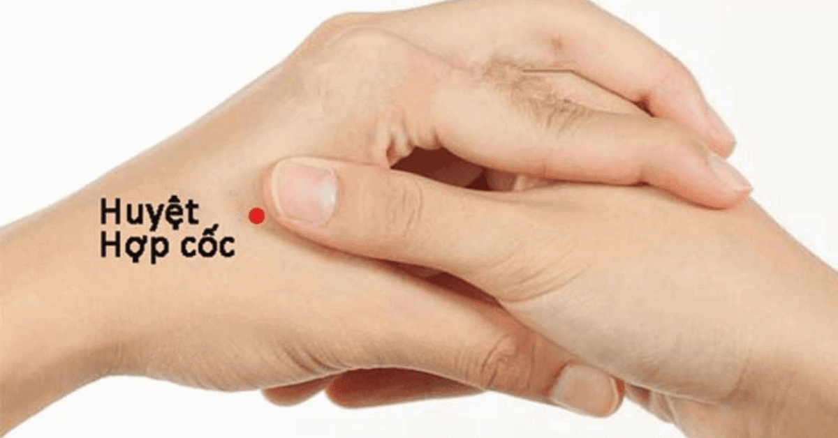 Đau răng bấm huyệt nào? Cách day bấm huyệt chữa đau răng Huyệt Hợp Cốc, hay còn gọi là huyệt hổ khẩu, nằm ở phần lõm tam giác giữa ngón tay cái và ngón tay trỏ