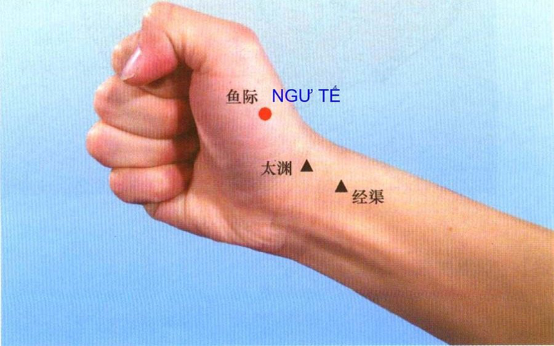 Đau răng bấm huyệt nào? Cách day bấm huyệt chữa đau răng Đầu ngón trỏ chạm đến vị trí nào ở mô ngón tay cái thì huyệt Ngư Tế ở vị trí đó