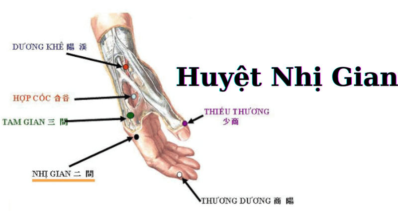 Đau răng bấm huyệt nào? Cách day bấm huyệt chữa đau răng Huyệt nhị gian nằm ở chỗ lõm trước xương bàn tay của ngón trỏ, về phía ngón cái
