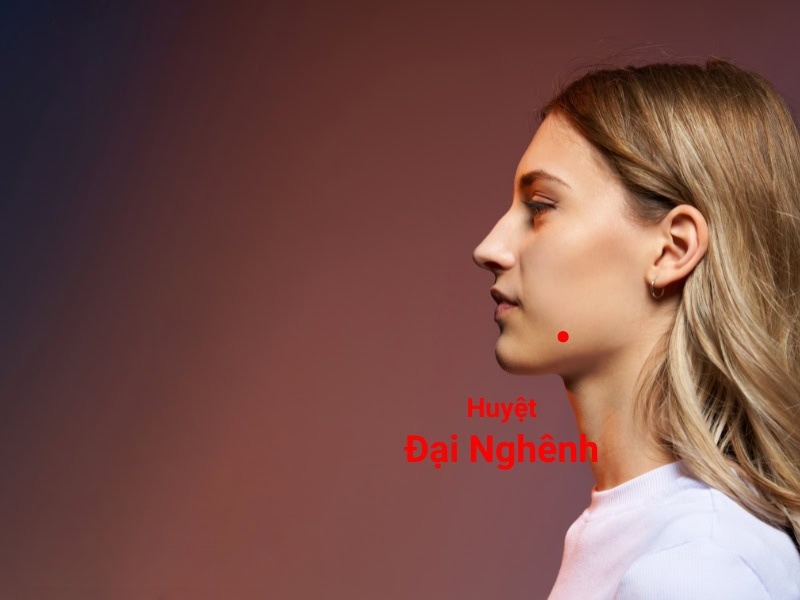 Đau răng bấm huyệt nào? Cách day bấm huyệt chữa đau răng Huyệt Đại Nghinh nằm ở trên kinh túc dương minh vị, vị trí góc hàm dưới