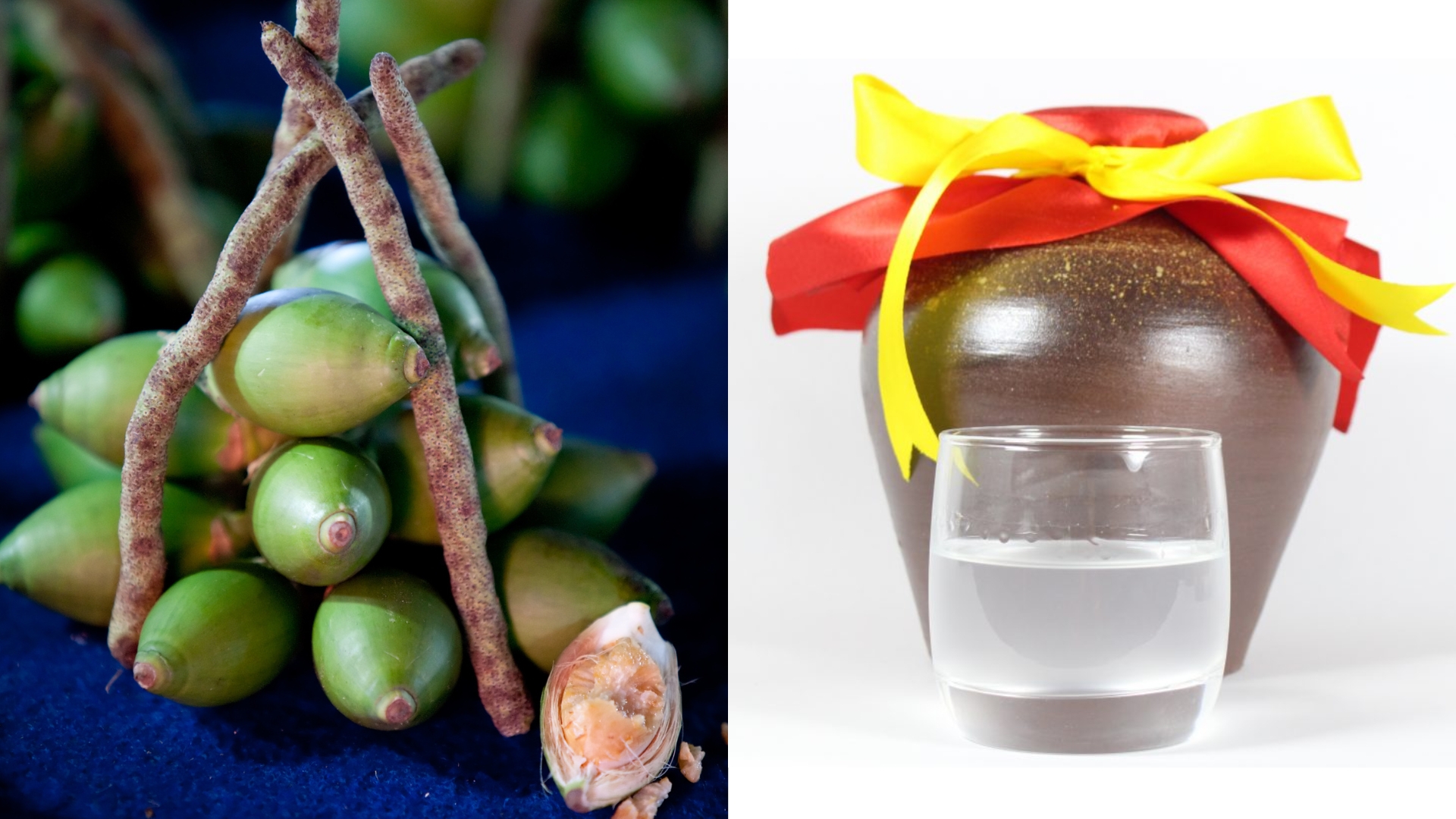 Ngậm rượu có giảm đau răng không? Hướng dẫn cách ngậm rượu Rượu hạt cau ngâm càng lâu thì hiệu quả giảm đau càng tốt