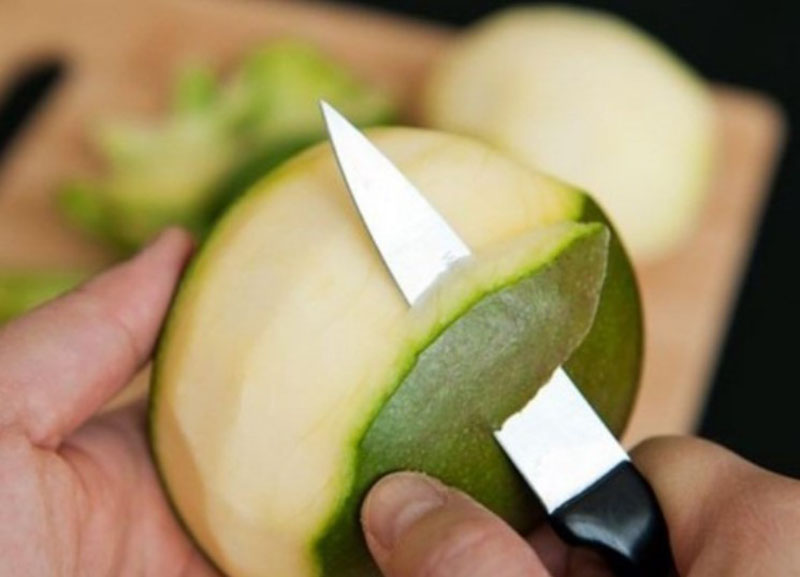 Bài thuốc dân gian sử dụng vỏ cây xoài trị đau răng an toàn Nhai trực tiếp vỏ xoài xanh 2 lần/ ngày sẽ thiếu giảm đau rõ rệt