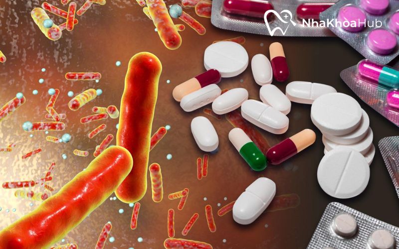 Kháng sinh hỗ trợ tiêu diệt vi khuẩn gây hại, giúp vết thương mau, giảm sưng viêm