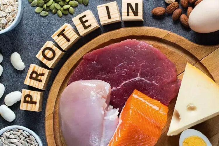 Protein có khả năng duy trì sức khỏe cho răng