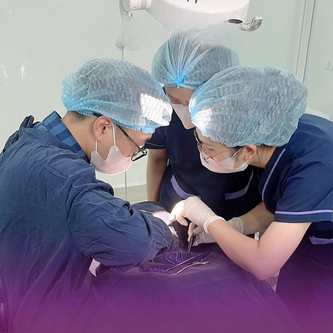 Đặt lịch giữ chỗ tại nha khoa VNES nhanh chóng ngay tại đây Các bác sĩ tận tình, thao tác điều trị nhẹ nhàng