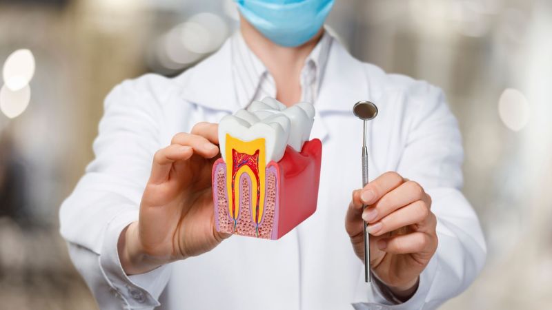 Răng đã lấy tủy có niềng được không? 3 Điều kiện bắt buộc cần biết Chọn nha khoa uy tín để niềng răng đã chết tủy